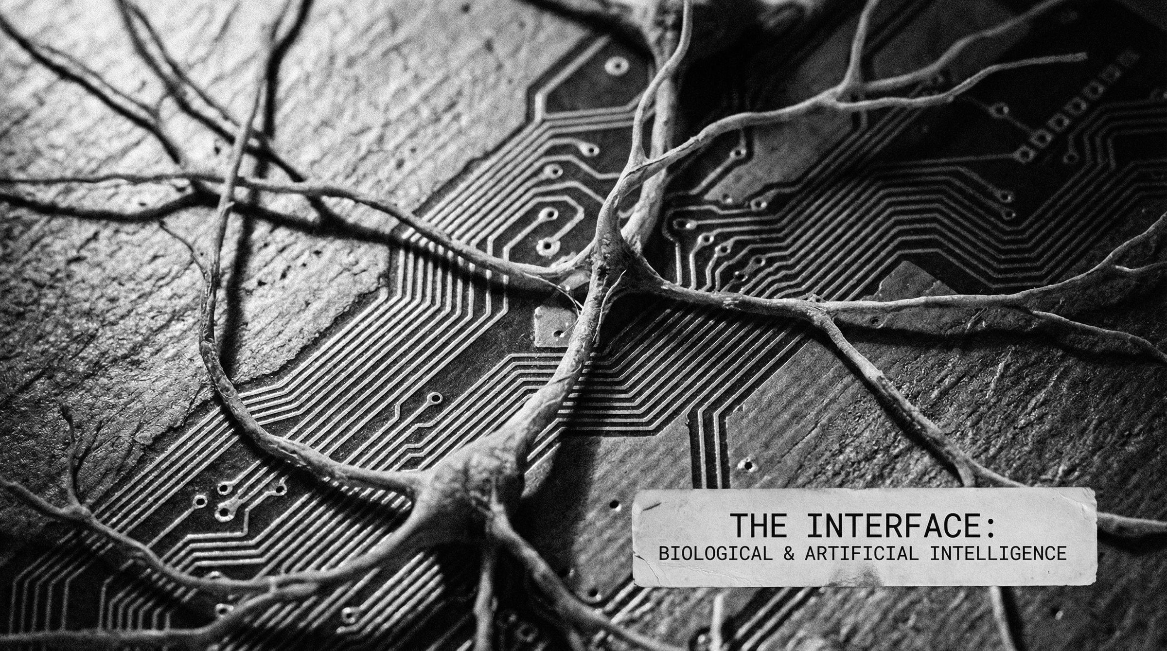 The Neuron and the Transistor