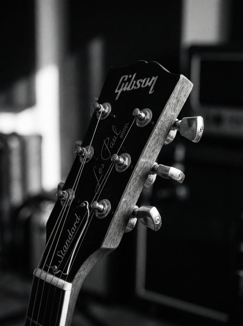 Gibson Les Paul headstock, black and white